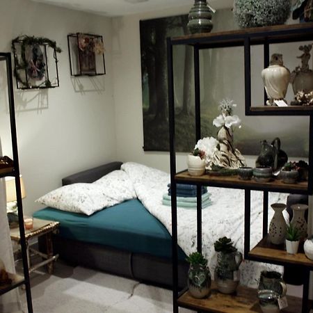 Cocon D'Argile Bed and Breakfast Bischoffsheim Exteriör bild