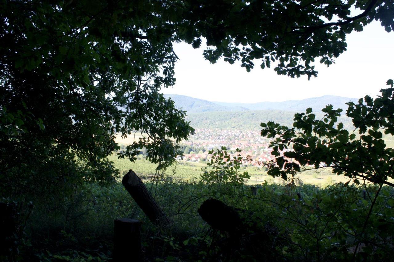 Cocon D'Argile Bed and Breakfast Bischoffsheim Exteriör bild